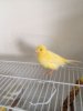 IMG-20180726-WA0015.jpg