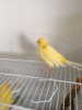 IMG-20180726-WA0017.jpg