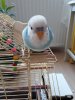 20180612_142724.jpg
