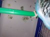 20180730_202032.jpg