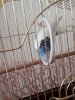 20180726_134330.jpg