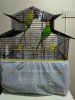 IMG_20180802_222916.jpg
