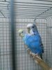 IMG_20180713_130632.jpg