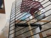 20180806_222949.jpg