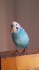 20180808_103615.jpg