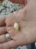 20180808_233019.jpg