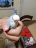 20180811_193551.jpg