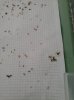 20180811_183429.jpg