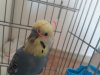 20180812_002403.jpg