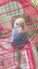IMG-20180814-WA0012.jpeg
