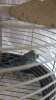 IMG-20180815-WA0006.jpg