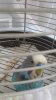IMG-20180815-WA0005.jpg