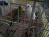 20180817_185141.jpg