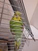 20180818_221353.jpg