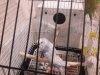 20180818_221241.jpg
