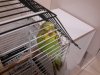 20180818_221228.jpg
