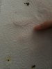 20180820_072344.jpg