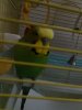 20180820_072459.jpg