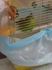 20180820_074701.jpg