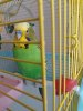 20180820_134645.jpg