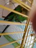 20180820_134651.jpg