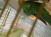 20180820_203541.jpg