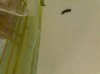20180821_001940.jpg