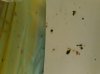 20180821_001955.jpg