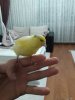 20180901_215630.jpg