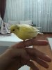20180901_215649.jpg