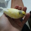 20180901_221143.jpg
