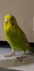 Screenshot_20180906-171110_Gallery.jpg