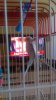 IMAG0280.jpg