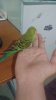 20180907_180801.jpg