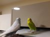 IMG-20180827-WA0012.jpg