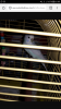 Screenshot_20180914-004535.png