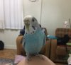 20185734-5E00-41B8-B1B4-882DC5A90DB9.jpeg