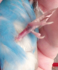 1.PNG