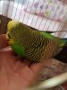 IMG_20180926_153603.jpg