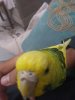 IMG_20181007_221441.jpg