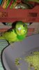 IMG-20181006-WA0003.jpg