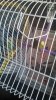 IMG-20181010-WA0000.jpeg