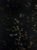 20181010_232029.jpg