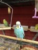 A1465C49-6F73-4D36-AE77-63E2227426DB.jpeg