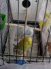 20181010_073057.jpg