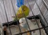 20181010_073009++.jpg