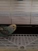 20181014_090654.jpg
