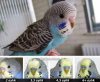 515FE9BF-607D-43B4-81E4-3CD61B7F6DEA.jpeg