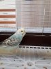 20181014_120236.jpg
