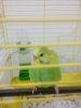 IMG-20161031-WA0000.jpg